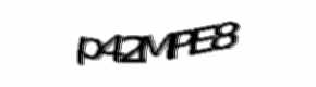 Security check image, please type the characters shown